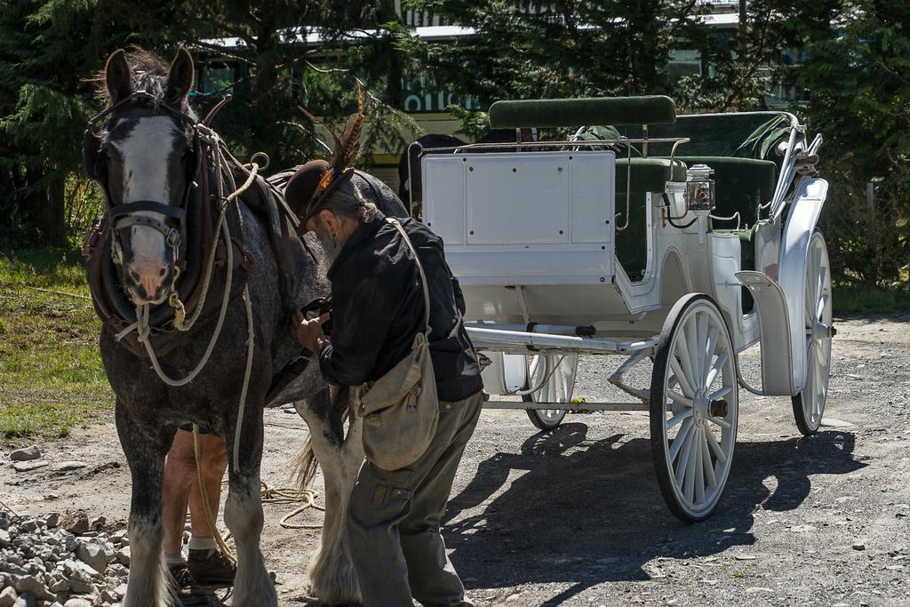 Otira Stagecoach Hotel Екстер'єр фото
